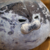 Introducing The Squishy Seal Plush