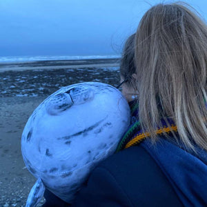 Squishy Seal Pillow